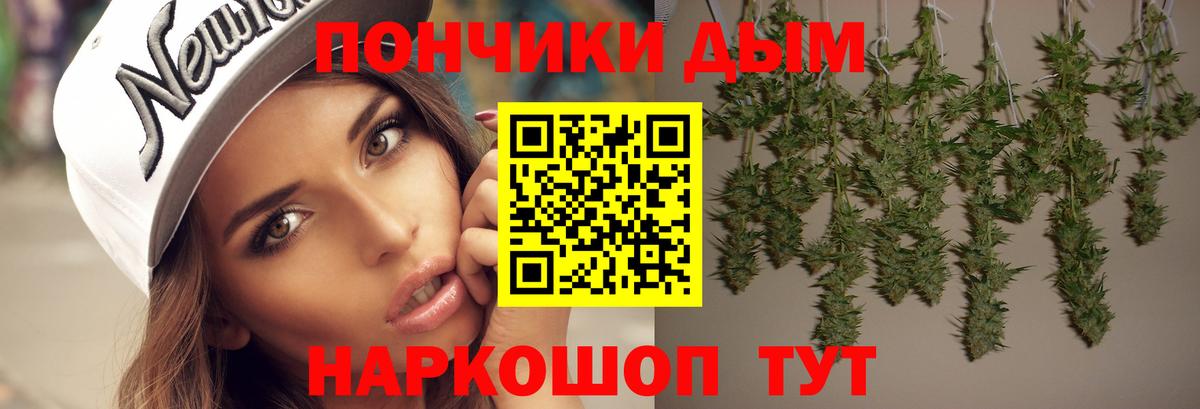 Бошки Шишки гибрид Жигулёвск